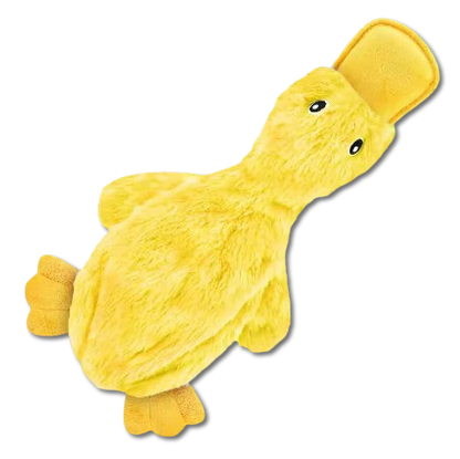 Crinkle & Squeaking Duck Toy