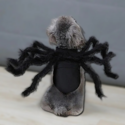 Halloween Spider Costume for Pets