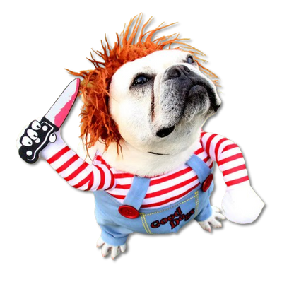 Trendy Chucky Dog Costume