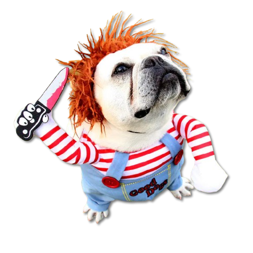 Trendy Chucky Dog Costume