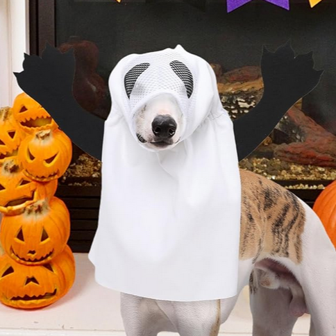 Ghost Dog Halloween Costume