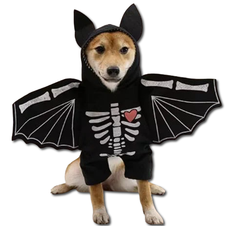 Halloween Bat Costume for Dogs