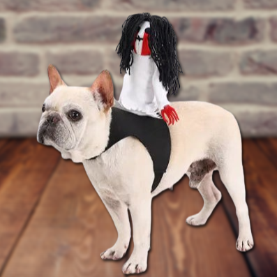 Halloween Costume for Pets