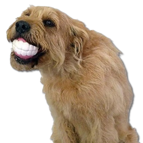 Pet Ball Teeth Silicon Chew Toys for Large Breeds