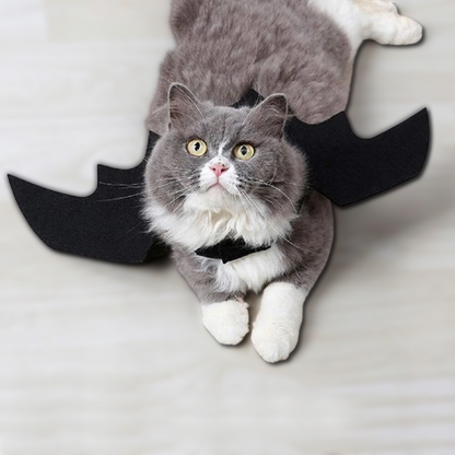 Halloween Cute Pet Clothes Black Bat