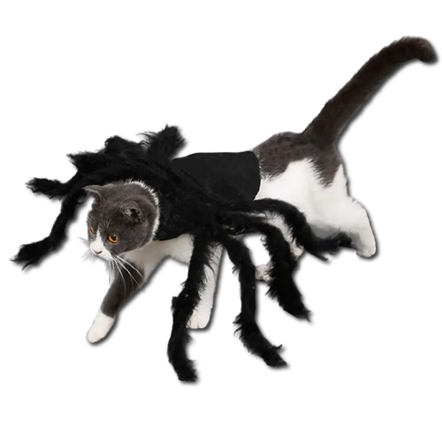 Halloween Spider Costume for Pets