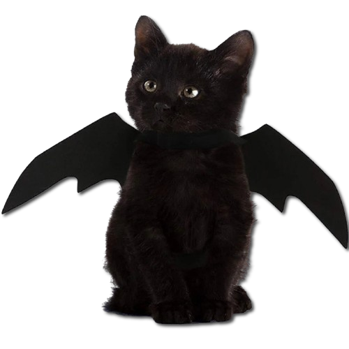 Halloween Cute Pet Clothes Black Bat