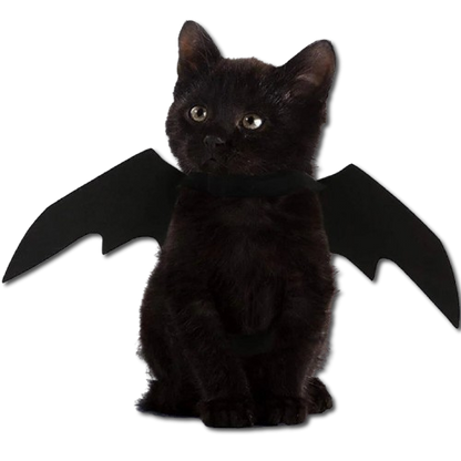 Halloween Cute Pet Clothes Black Bat