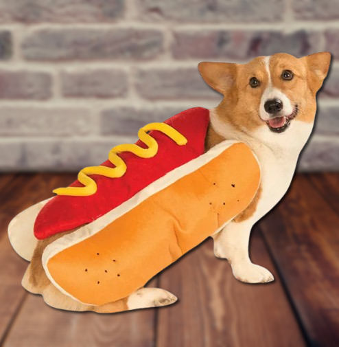 Hot Dog Halloween Costume for Pets