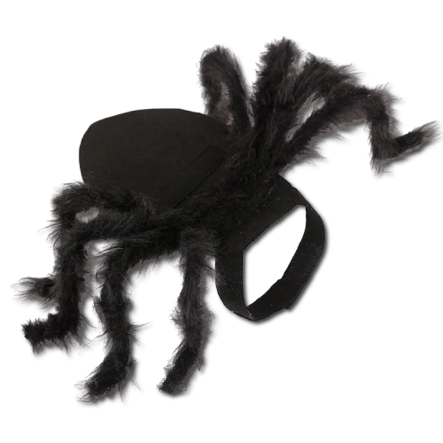 Halloween Spider Costume for Pets