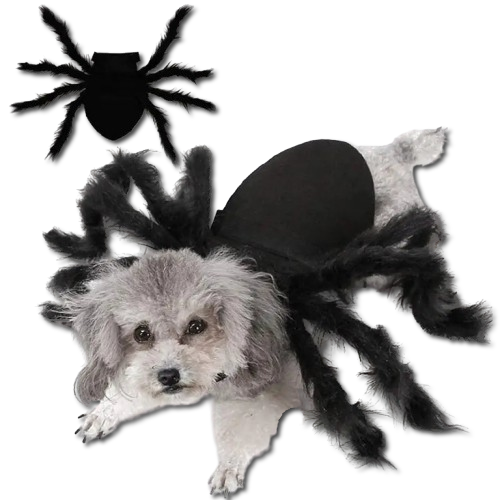 Halloween Spider Costume for Pets