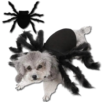 Halloween Spider Costume for Pets