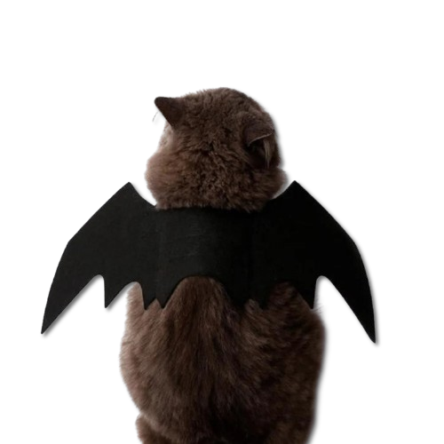 Halloween Cute Pet Clothes Black Bat