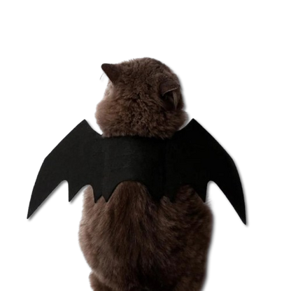 Halloween Cute Pet Clothes Black Bat