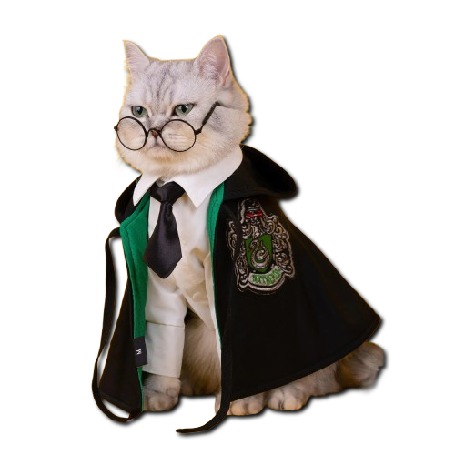 Pet Halloween Magic Cape Cosplay Outfit